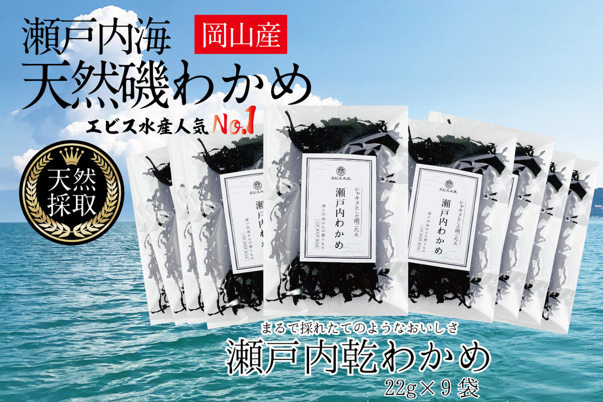 風味豊かな 瀬戸内 わかめ 22g×9袋 エビス水産【岡山 瀬戸内海 天然 カットわかめ】