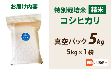 【先行予約】【令和8年産 新米】南条米 特別栽培米コシヒカリ 真空パック 精米 5kg [B-011005] 福井 ブランド米 