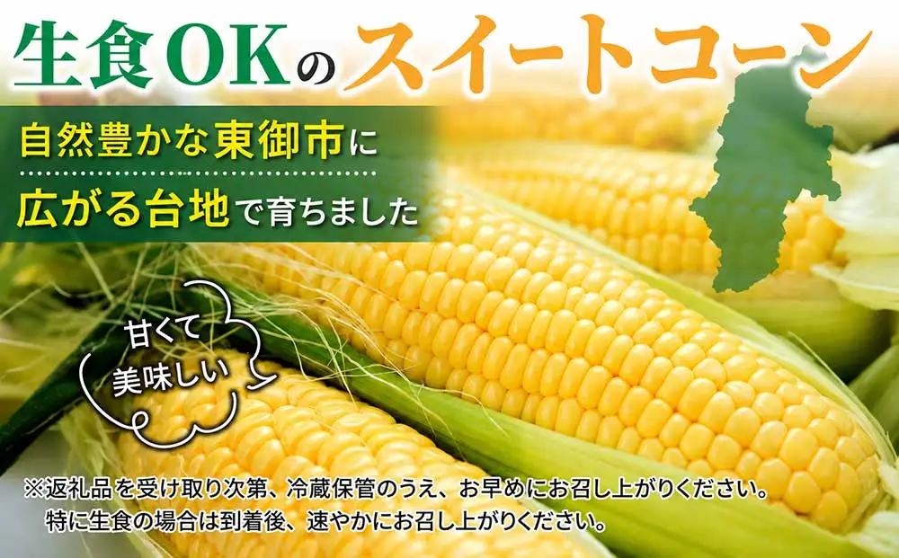 生とうもろこし 2Lサイズ 6本 有機肥料使用のスイートコーン！ 長野県東御市産 ※7月上旬から順次発送予定※発送日指定不可