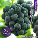 【ふるさと納税】ぶどう 2025年 先行予約 ニュー ピオーネ 2房（1房 480g以上 露地栽培） ブドウ 葡萄 岡山県産 国産 フルーツ 果物 ギフト　 果物 フルーツ 岡山のぶどう 　お届け：2025年9月上旬～2025年10月中旬