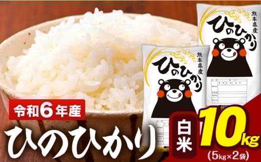 令和6年産 白米 米 ひのひかり 10kg (5kg袋×2)《7-14日以内に出荷予定(土日祝除く)予定》熊本県 大津町 国産 熊本県産 白米 精米 送料無料 ヒノヒカリ こめ お米