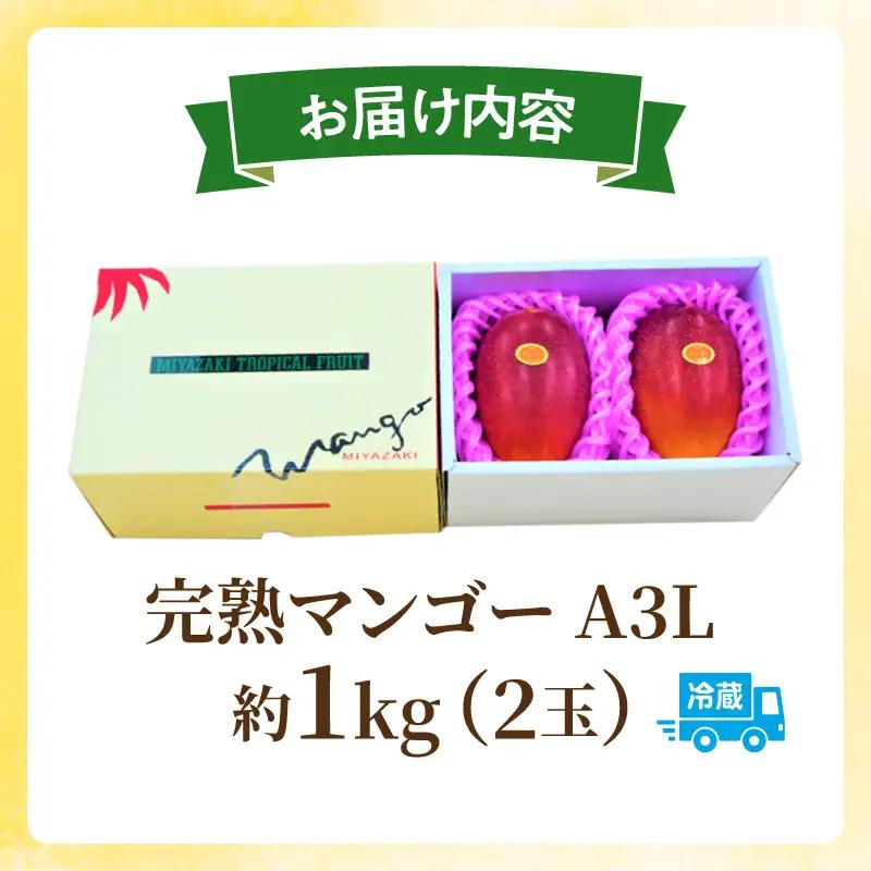 マンゴー 完熟 マンゴー [期間限定 宮崎 A3L 2玉 約1kg]
