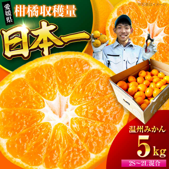 【ふるさと納税】【10月より順次発送】 温州みかん 5kg （2Sから2L混合サイズ） | 人気 おすすめ ランキング おいしい 甘い 愛媛 果物 くだもの フルーツ 柑橘 大洲市/玉川農園[AGBC005] 10000 10000円