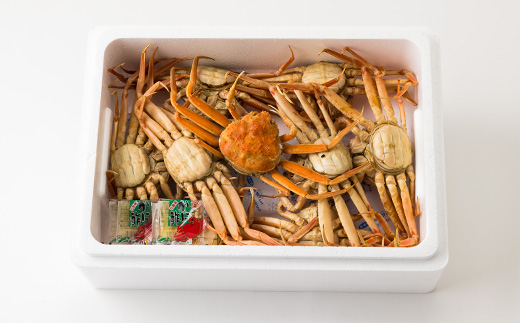 兵庫県香住産　釜茹でセコガニ6～10匹入り(約1.2kg)【11月中旬以降発送】【配送不可地域：離島・北海道・沖縄県・東北・関東・九州】