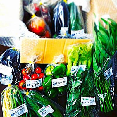 ふるさと納税 原村 【先行受付】季節の変り野菜セット(Lサイズ)