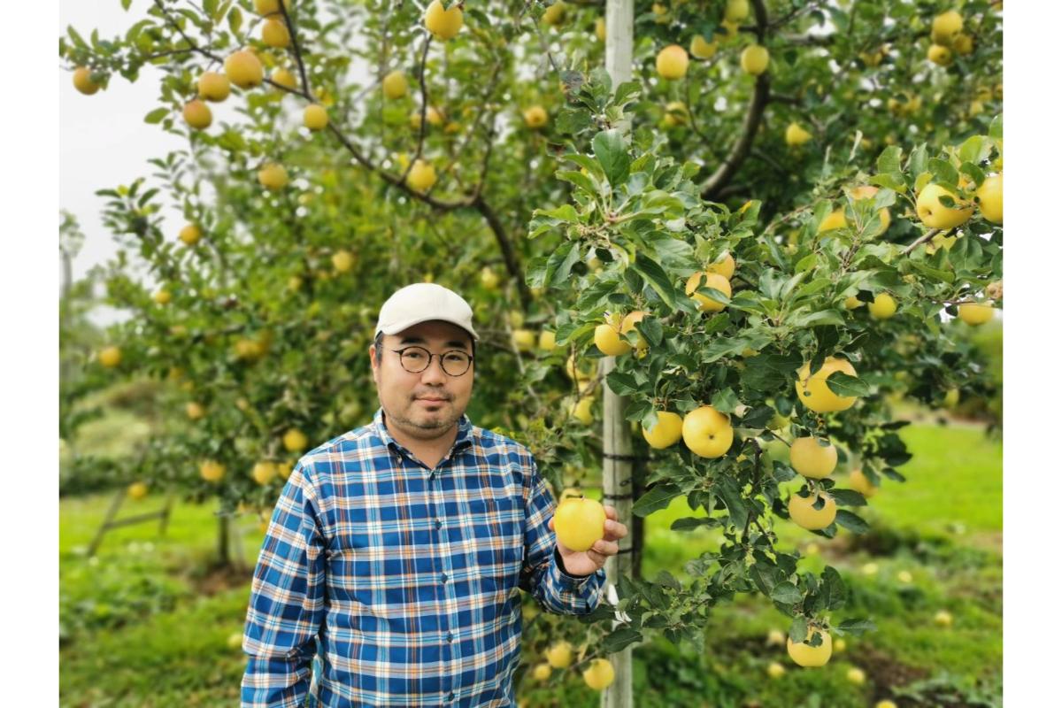 りんごジュース 100％ 青森 ストレート 果汁 180ml×3本 「平安の御所」【 着色料不使用 自然の色 すっきり さっぱり フルーツジュース 贈答 果肉まで赤いりんご「御所川原」使用 りんご ジ