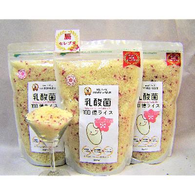 ふるさと納税 佐世保市 乳酸菌100億ライス 3kg