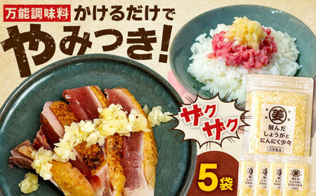 刻んだしょうがとにんにく少々（80g×5袋） / 薬味 調味料 馬刺し たたき / 佐賀県 / 有限会社乃市商店 [41AHDB003]