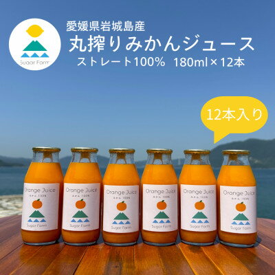 【ふるさと納税】愛媛 シュガーファームの丸搾りみかんジュース ストレート180ml×12本【1500877】