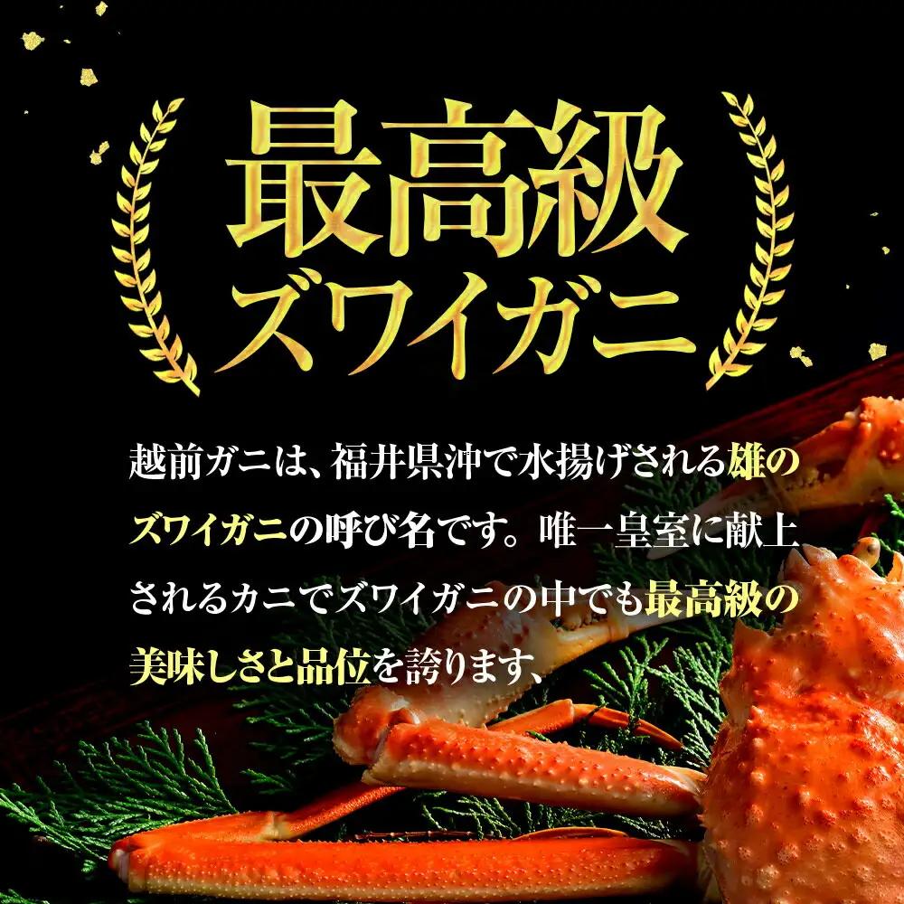 【先行予約/11月7日より順次発送】【希望月指定可】 越前がに 600ｇ×1ハイ  / 蟹 ズワイガニ ずわいがに ボイル 冷蔵 小浜市 / まるほ商店 【配送不可地域：北海道・沖縄・離島】[BFCS
