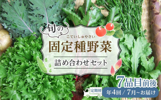 
            野菜［4回定期便］ 旬の「固定種」野菜 バイオダイナミック農業  7品目前後（7月～10月のお届け）冷蔵配送
          