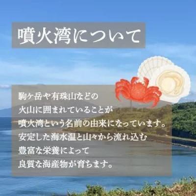 ふるさと納税 豊浦町 ぶり刺身 約100g × 4パック |  | 01