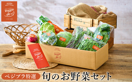 旬の新鮮なお野菜を産地直送！ベジプラ特選 旬の野菜セット【定期便：4回　春(5月)・夏(7月)・秋(11月)・冬(1月) 】 / 野菜 詰め合わせ セット 野菜セット 新鮮 ギフト やさい 苦みが少ない 甘みが強い Veggie de＋【野菜例：キャベツ 水菜 ミニトマト レタス とろり葱 ほうれん草等】