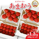 【ふるさと納税】いちご あまおう 約300g×4パック 計1200g 甘い 美味しい 果肉 果物 スイーツ スムージー ジャム パン ヨーグルト エコファーマー 安心 冷蔵 冷凍保存 福岡県 久留米市 お取り寄せ ギフト お祝い 送料無料