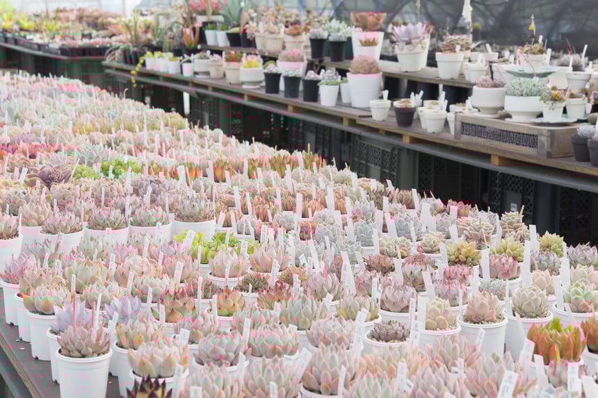 ハウス内の様子