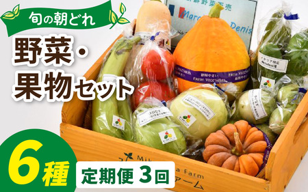 【定期便3回】朝どれ 旬な野菜 果物セット 6種類セット【お届け対象月 5月,8月,11月】農薬・化学肥料不使用