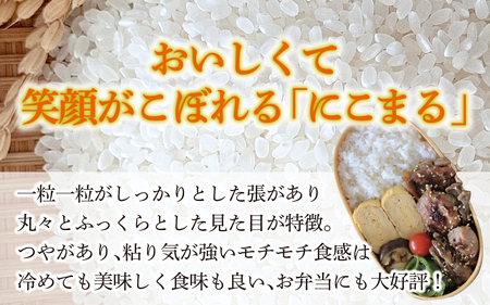 【令和8年産】  にこまる 10kg（5kg × 2袋） 【2027年2月配送】 |  にこまる 白米 新米