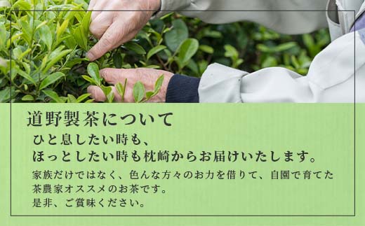 【のし付き・お中元】「天然玉露あさつゆ」緑茶ティーバッグ　水出し・お湯両用タイプ　A8−86C【配送不可地域：離島】【1511433】