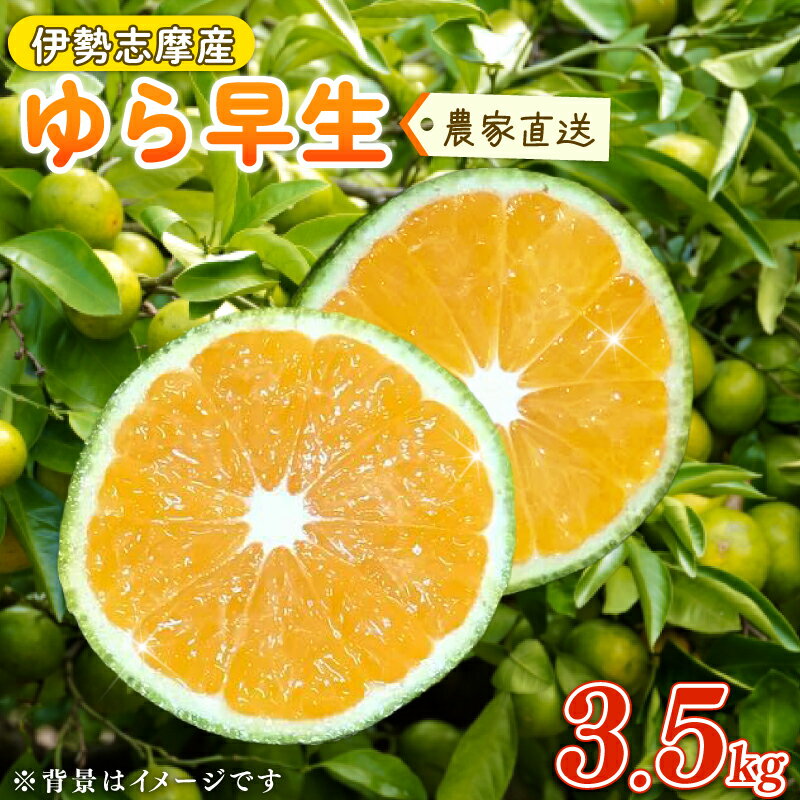 【ふるさと納税】 ゆら早生みかん 3.5kg みかん 期間限定 ミカン 蜜柑 温州みかん 柑橘 mikan フルーツ くだもの 果物 かんきつ 食品 農家直送 伊勢志摩産 三重県 南伊勢町 土実樹農園 1万円台 2万円以下 10000円台 20000円以下 一万円台 二万円以下