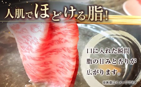 宮崎牛　クラシタローススライス500g　4等級以上　国産牛肉＜2.2-9＞