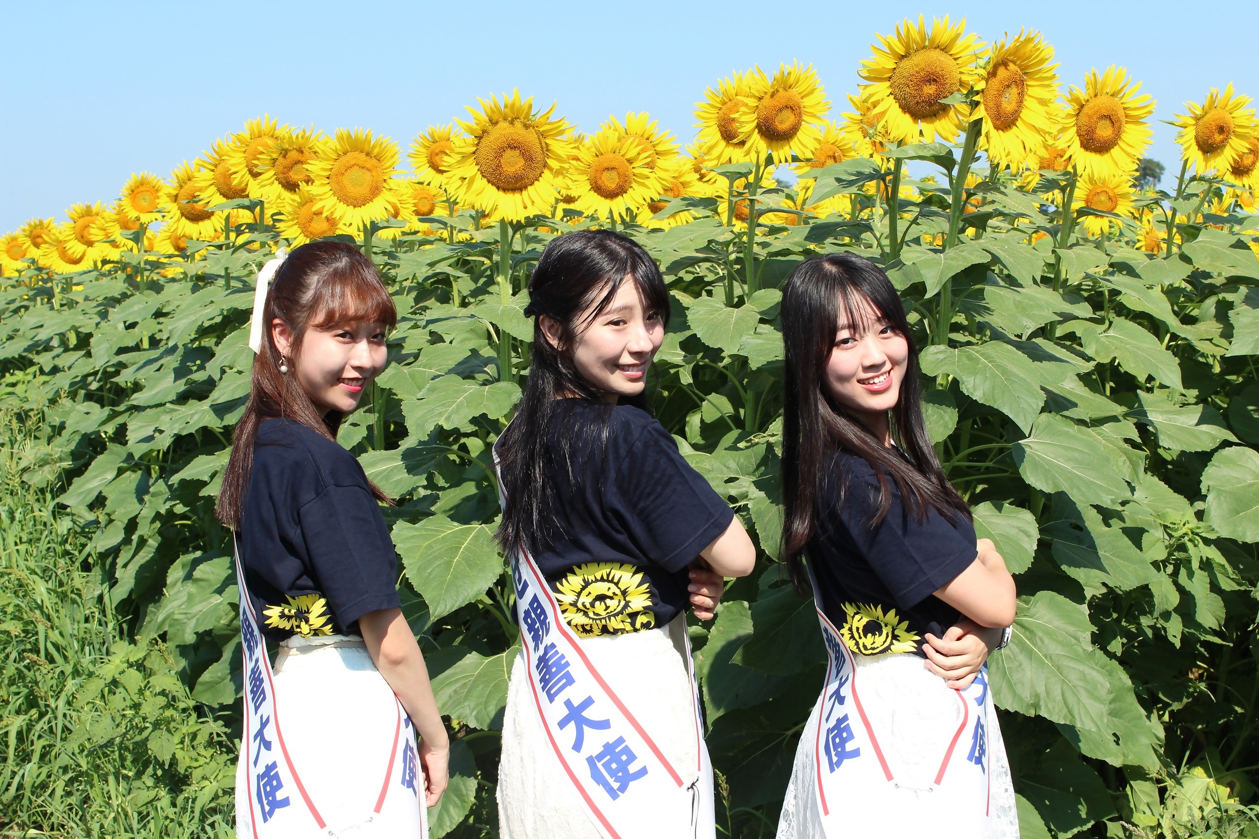 
            ひまわりフェスティバルＴシャツ【おとな用】
          