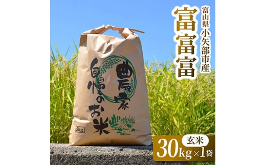 【新米先行受付(2026年10月上旬から順次発送)】令和8年富山県産「富富富」(玄米)30kg×1袋【1656109】