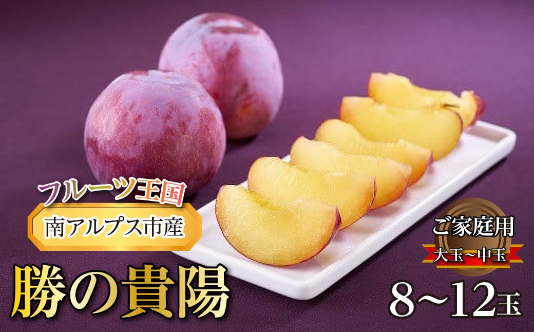 
            【令和7年7月中下旬～発送予定】『勝の貴陽　ご家庭用』　大玉～中玉8～12玉サイズ | ふるさと納税 すもも 貴陽 プラム 大玉 果物 フルーツ おすすめ 山梨県 南アルプス市 送料無料 | ALPBB009　
          