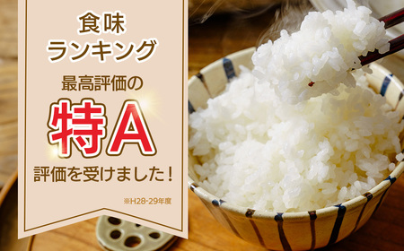 秦野のお米「はるみ」5kg｜国産米