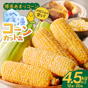 冷凍便！旬の時期に冷凍したSDGs米糠堆肥で作った博多あまっコーンカット品 4.5キロ以上（12～20本） _ 博多あまっコーン カット 4.5キロ以上 12 ～ 20本 カット品 とうもろこし 国産 冷凍 メロンより甘い プレミアムコーン ふくおかエコ農産物 コーン フルーツのような甘さ 野菜 酒見農産 お取り寄せ 福岡県 久留米市 送料無料  〔Gv051〕