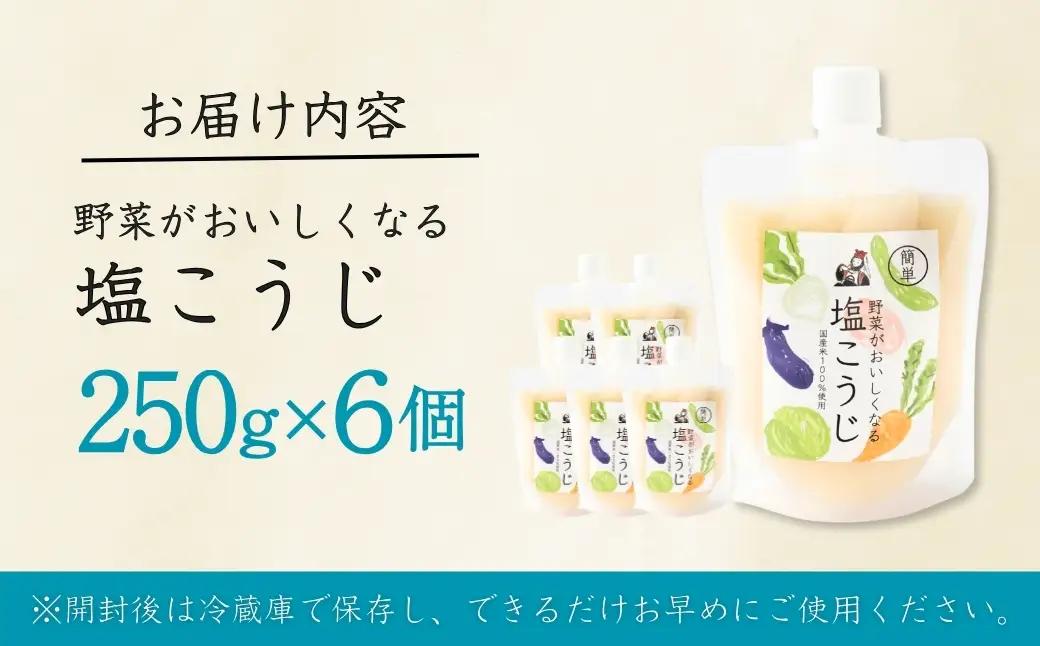 野菜がおいしくなる塩こうじ 250g×6個入 山崎醸造 | こうじ