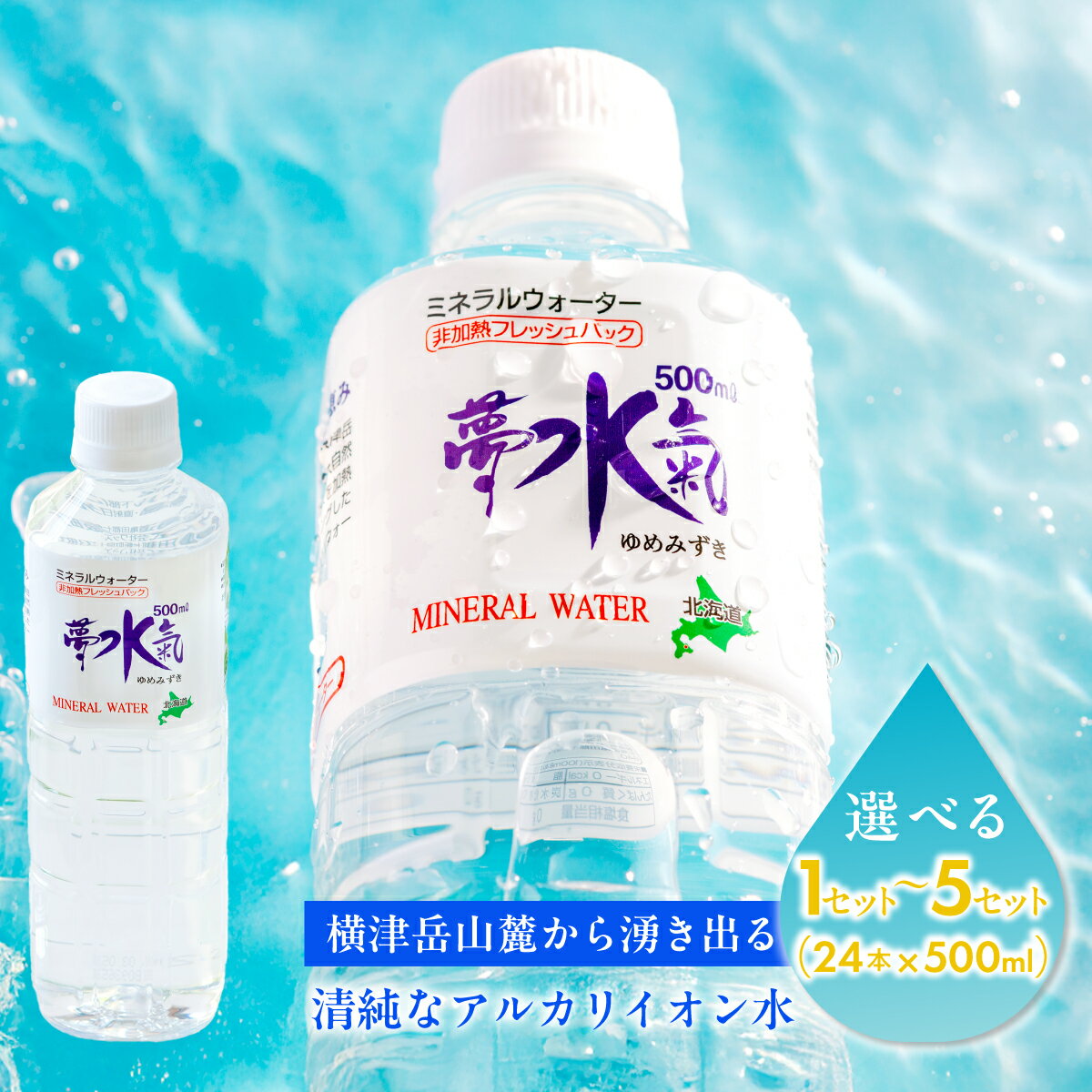 【ふるさと納税】ミネラルウォーター夢水氣（500ml×24本）選べる本数 天然アルカリイオン水 軟水 ミネラルウォーター 天然水 ミネラルウォーター 飲料水 軟水 自然 ペットボトル アルカリイオン 水 みず 飲料水 防災 備蓄 備え NAL001