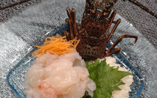 【捌き方レシピ・軍手付き】活きイセエビ漁師直送！！2ｋｇ以上（3〜5尾、4〜5人前）