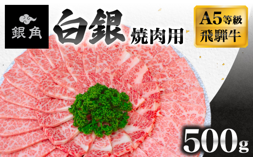 【飛騨牛】白銀焼肉用500g【配送不可地域：離島】