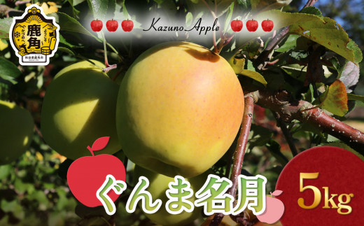 《 先行予約 》鹿角 りんご「ぐんま名月」5kg（14～18玉前後）【佐藤秀果園】●2026年11月上旬発送開始 リンゴ 林檎 贈答用 果汁 完熟 旬 県産りんご お中元 お歳暮 贈り物 お見舞い グルメ ギフト 故郷 秋田 あきた 鹿角市 鹿角 送料無料