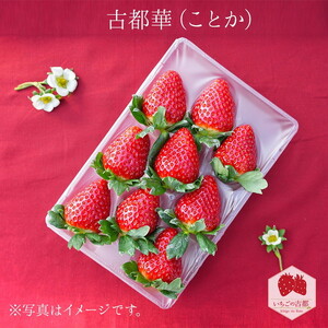 【先行予約・数量限定】【奈良県知事賞受賞】古都華（ことか）3Lサイズ（6粒入り）×2パック｜とのあさイチゴ農園 ※2026年1月中旬～5月上旬頃に順次発送予定