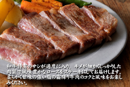 宮崎牛 ロースステーキ 500g（牛肉 黒毛和牛 畜産農家応援 ロース ステーキ 赤身 数量限定）