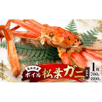 ふるさと納税 北栄町 鳥取県産　厳選!ボイル足折松葉ガニ大1枚(700〜800gサイズ)
