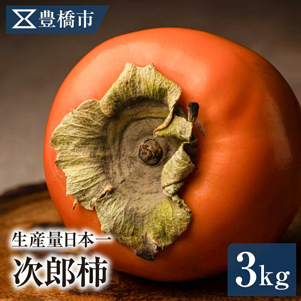 【ふるさと納税】《先行予約》豊橋市産 次郎柿 正品 3kg 産地直送 柿 かき 果物 フルーツ デザート 送料無料 愛知県 豊橋