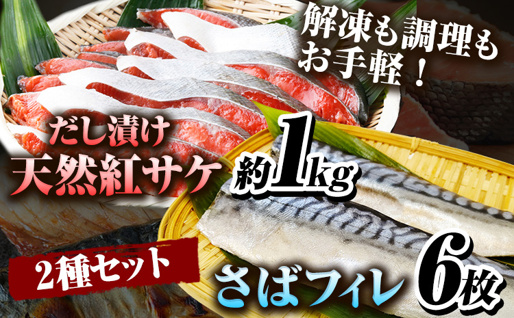 迷ったらコレ!魚鶴商店の天然紅サケ1kg &塩さばフィレ6枚セット 株式会社魚鶴《30日以内に出荷予定(土日祝除く)》 和歌山県 日高町 さば 鯖 鮭 サケ さけ しゃけ(f-4)