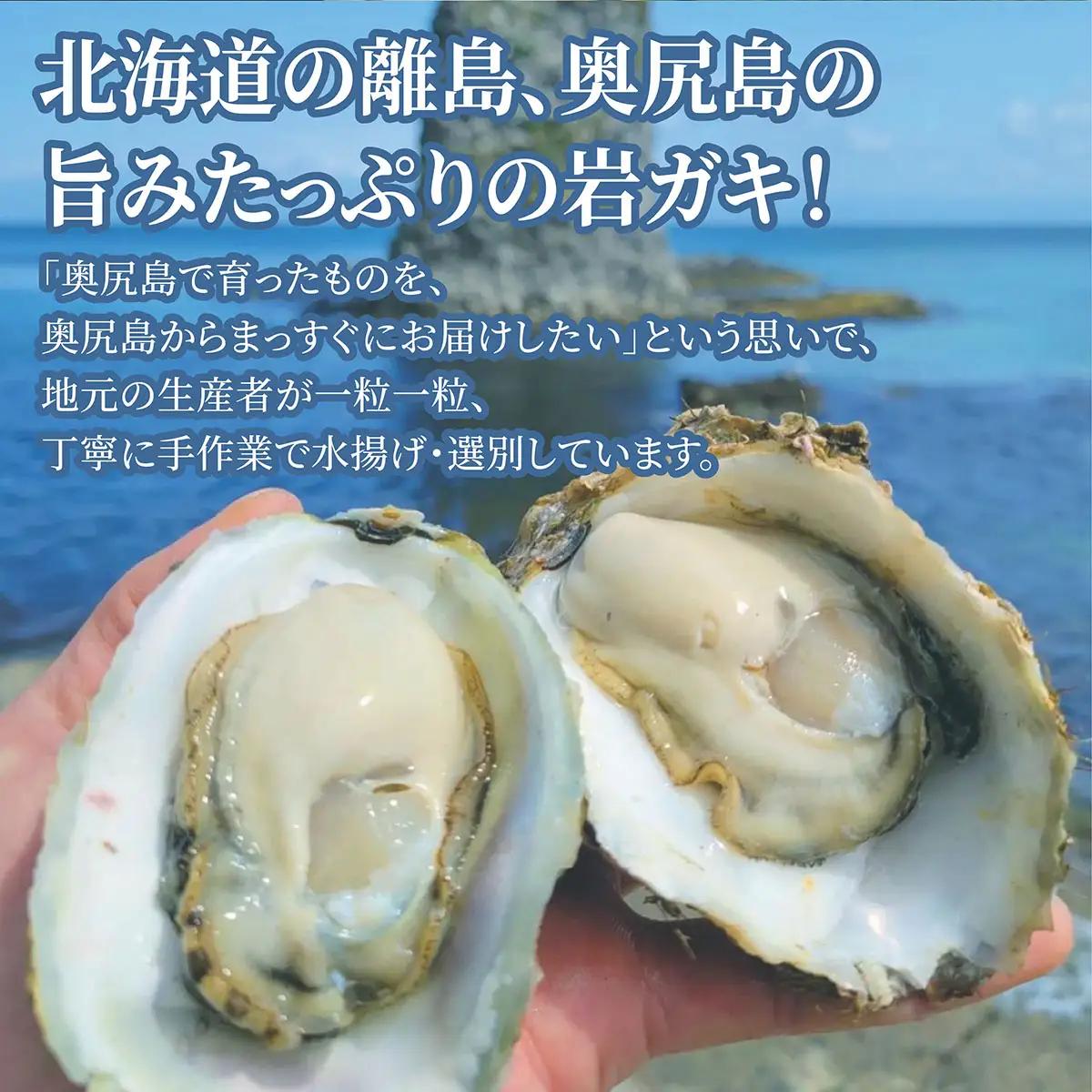 【先行予約 2025年7月20日より発送】奥尻島産養殖岩ガキ【Sサイズ】殻付き　30個入り（加熱食用）～豊かな海が育てた海の宝石～ 