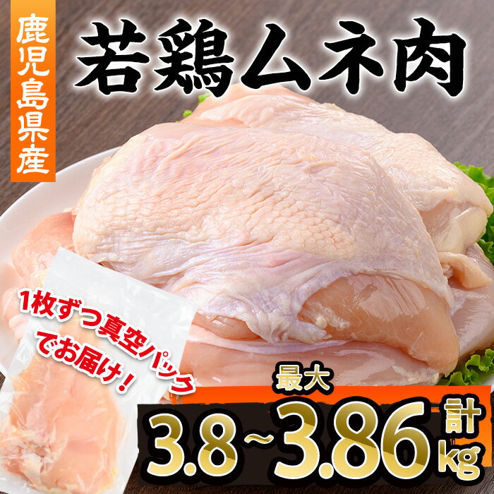 【ふるさと納税】鹿児島県産若鶏ムネ肉不定貫(計3.8～最大3.86kg・300～350g×12~14P) 鹿児島県 若鶏 鶏肉 鶏 肉 むね ムネ 国産 切身 冷凍 真空 パック【株式会社羽根】