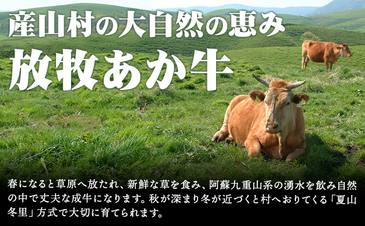 放牧 あか牛 の ミニ ローストビーフ 300g 焼肉正 もも肉 ブロック ギフト 贈り物 お歳暮 贈答 熊本 阿蘇 産山村 《60日以内に出荷(土日祝除く)》ブロック肉 モモ ローストビーフ【配送不