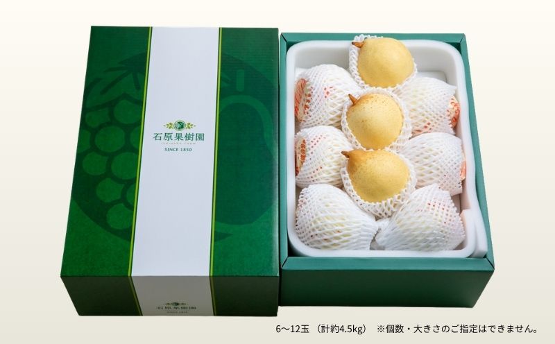 梨 ヤーリー梨 鴨梨 先行予約 6～12玉 4.5kg 贈答箱 岡山県産 | ヤーリー梨 鴨梨 梨 特選品 上級品 贈り物 御歳暮 果物 くだもの フルーツ 石原果樹園 【ishk020-01】