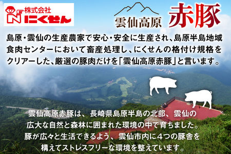 雲仙高原 赤豚 国産 豚ウデ 切り落とし 5kg 500g×10p [長崎県農産品流通 長崎県 雲仙市 item1583] 豚肉 肉 切落し