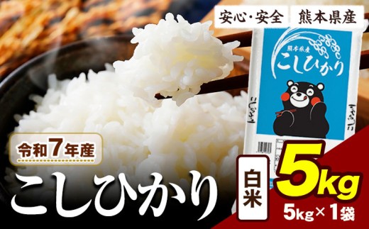 令和7年産 白米 こしひかり 5kg 《7-14日以内に出荷予定(土日祝除く)》令和7年産 熊本県産 ふるさと納税 白米 精米 ひの 米 こめ ふるさとのうぜい コシヒカリ コメ お米 おこめ