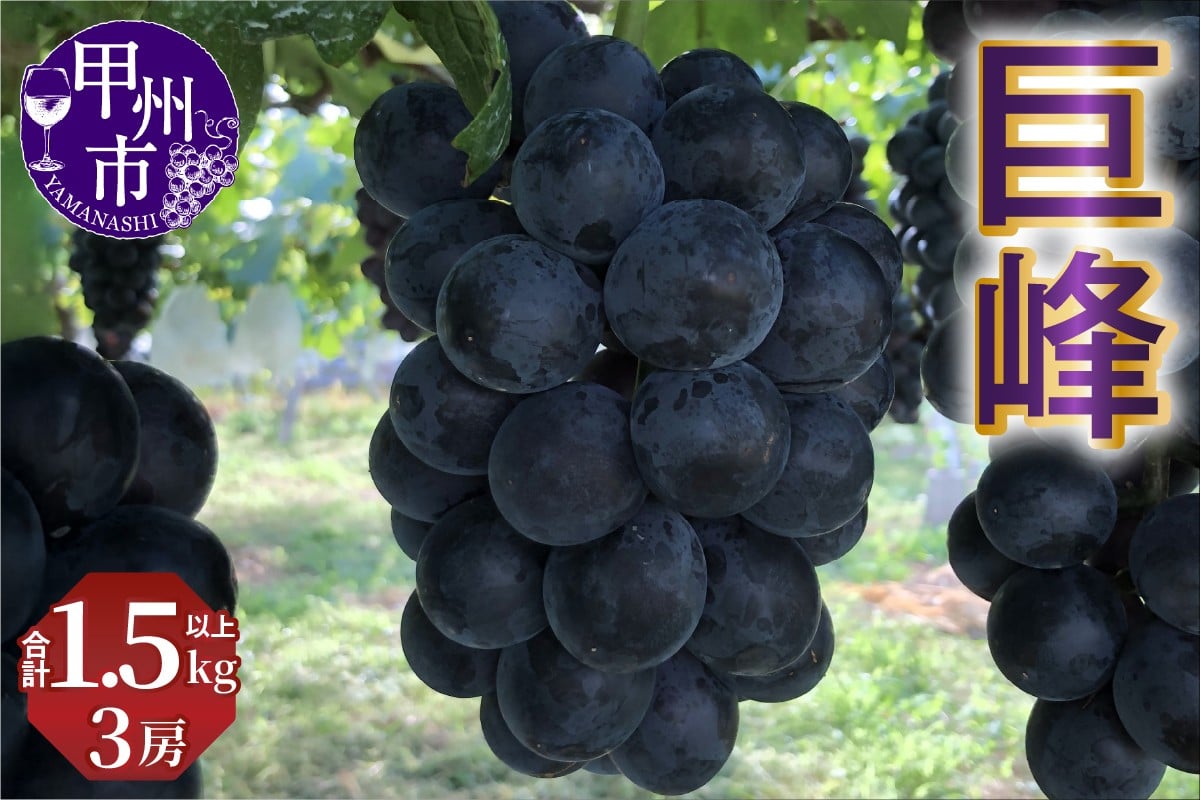 
            巨峰3房 合計1500g以上【2026年発送】（NSF）B12-960 【巨峰 ぶどう 葡萄 ブドウ 令和8年発送 期間限定 山梨県産 甲州市 フルーツ 果物】
          