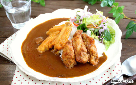 【小分け】日本ハム レストラン仕様カレー辛口10パックセット(1パック4袋入り)計40食分 / カレー かれー レトルト 牛肉 小分け / 諫早市 / 日本ハムマーケティング株式会社 [AHAL002