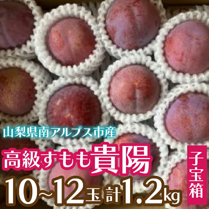 【ふるさと納税】＜2025年発送分先行予約＞すもも貴陽(子宝箱)10～12玉(計1.2kg) ＜2025年7月上旬～8月旬上旬　順次発送＞ ふるさと納税 おすすめ 山梨県 南アルプス市 送料無料 ALPCZ018