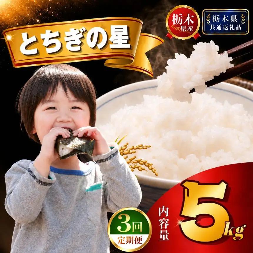 【新米】定期便3回 とちぎの星 5kg×1袋【栃木県共通返礼品 栃木県産】AB | 栃木県 下野市