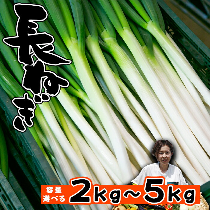 【ふるさと納税】 長ネギ おすすめ 高橋農園 長ねぎ 選べる 2kg 5kg ／ ねぎ ネギ 葱 長葱 白ねぎ 白ネギ 白葱 野菜 やさい 岩手県産 国産 人気野菜 新鮮 産地直送 農家直送 期間限定 季節限定 特産品 冷蔵 冷蔵発送 人気 薬味 鍋 串焼き EM栽培 岩手県 雫石町 送料無料